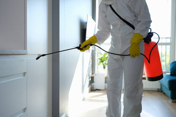 Best Black Mold Removal  in Narragansett Pier, RI